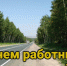 С днём работника дорожного хозяйства - Здвинский район