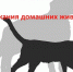 Информация о внесении изменений в Закон Новосибирской области от 14.02.2003 № 99-ОЗ «Об административных правонарушениях в Новосибирской области» - Здвинский район